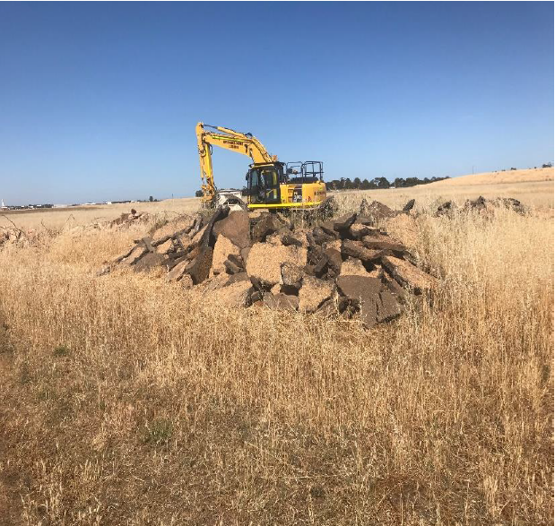 Edinburgh Aerodrome 1