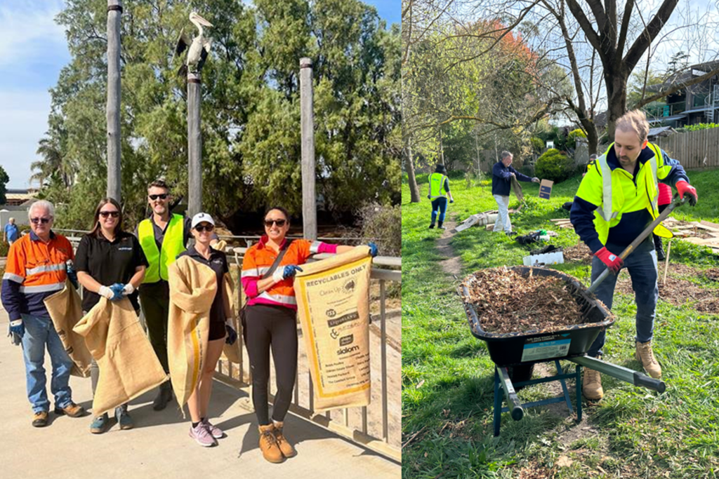 Duratec team members, including people who may be engineers and consultants, doing activities that contribute to sustainability and the environment in Australia, including cleaning up rubbish and planting trees and weed prevention.