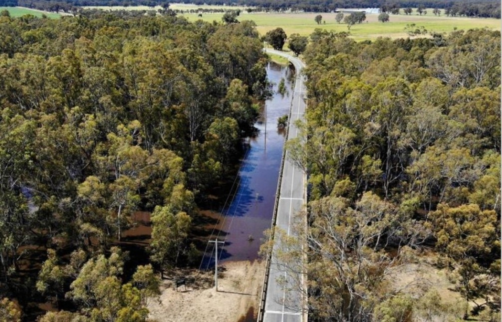 Adobe Express – file (6)