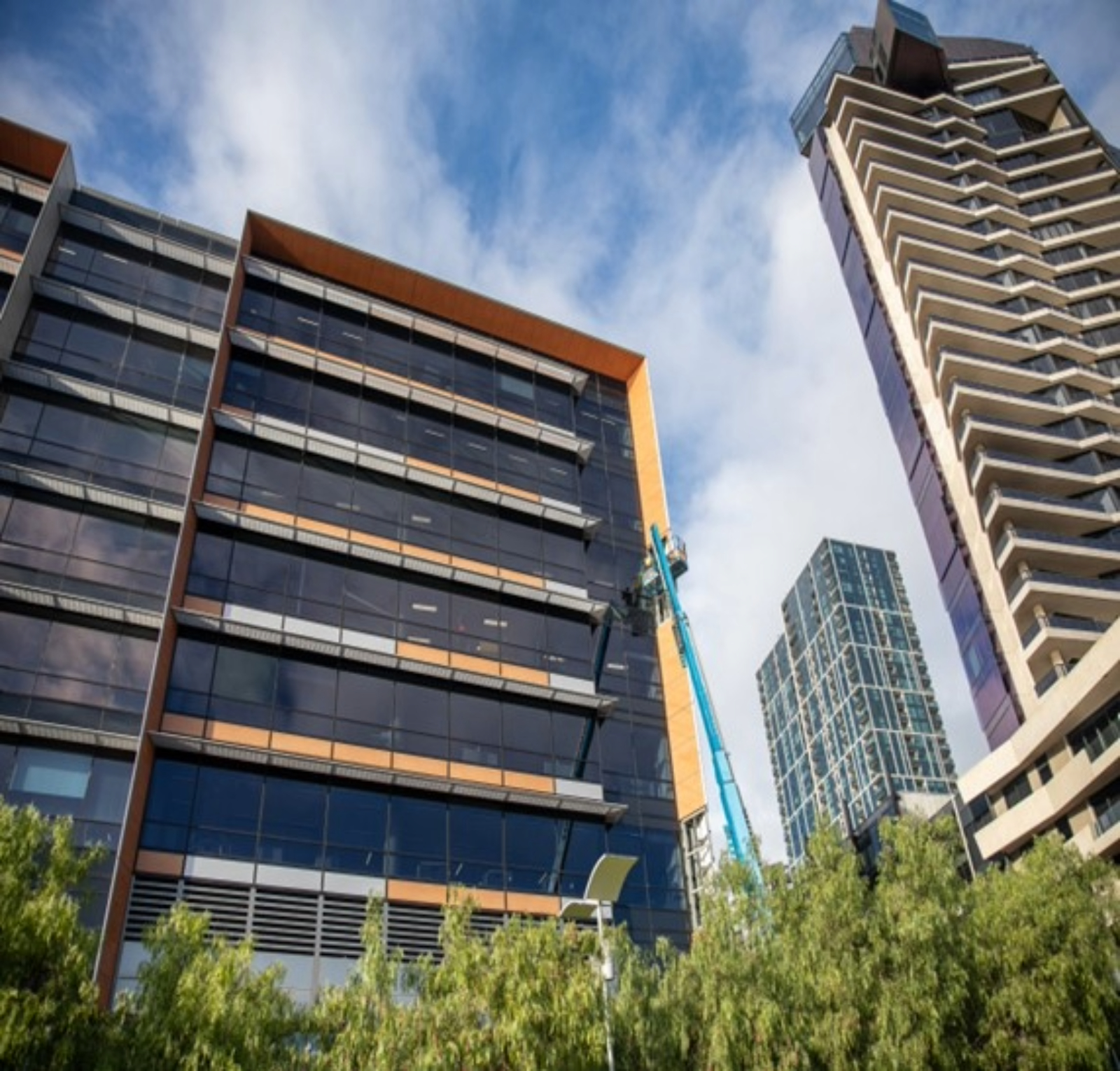 Adobe Express – file (8)