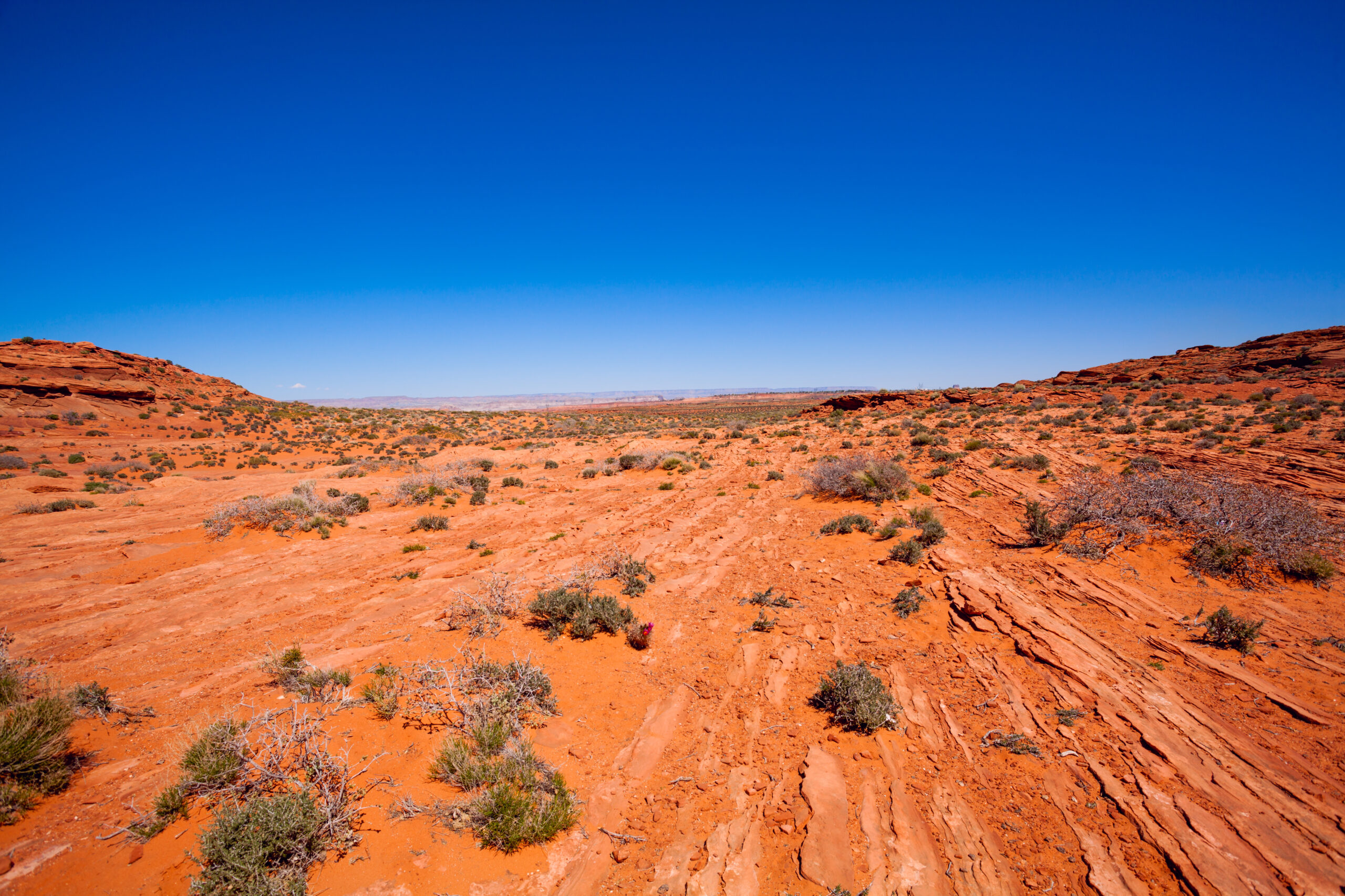 Vast desert near Colorado river canyons, USA