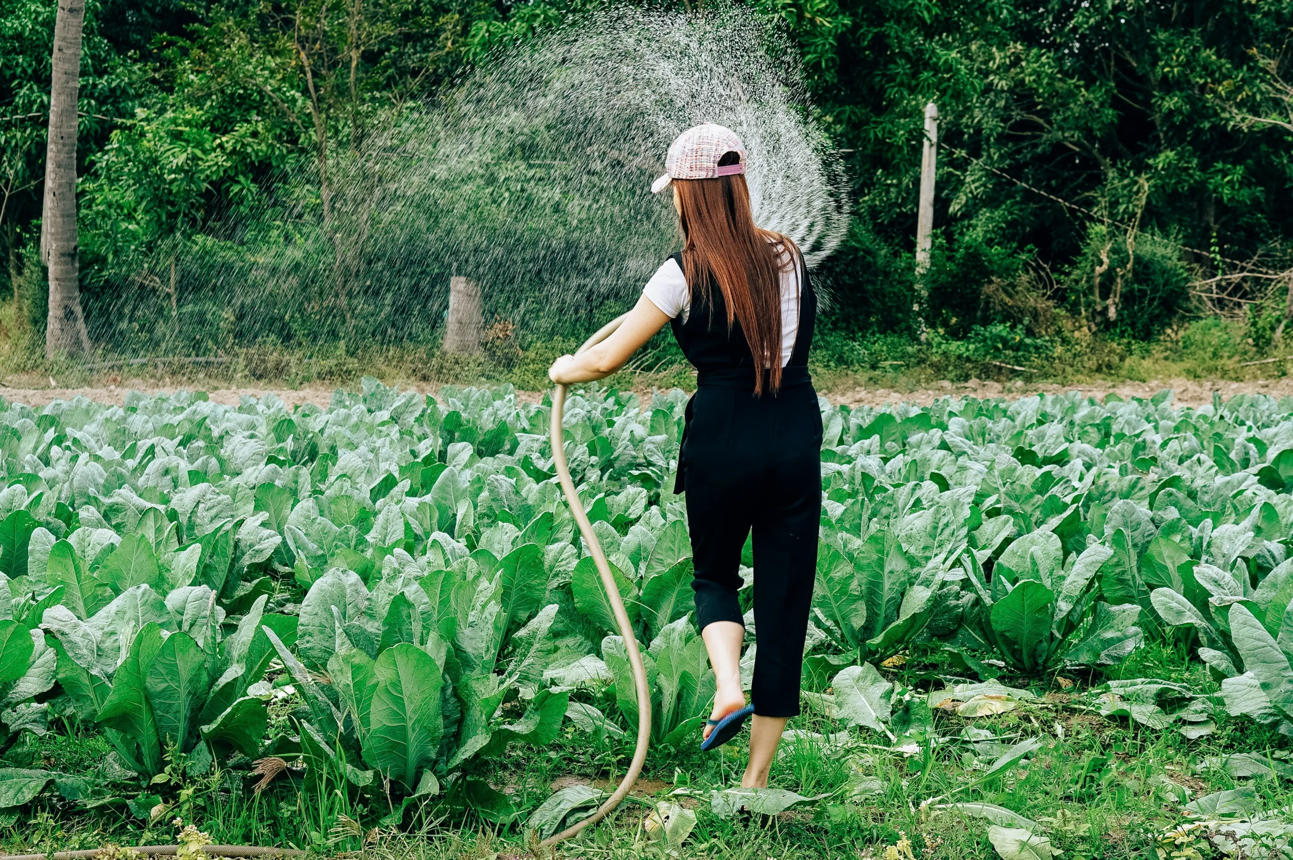 agricultural water filtration perth australia
