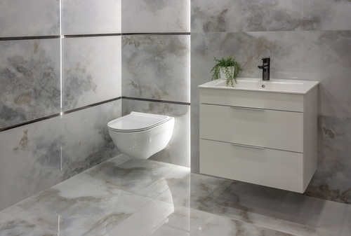cost of toilet installation