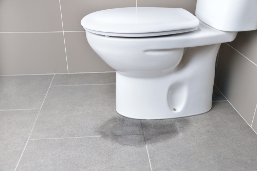 toilet leaking perth repair plumber