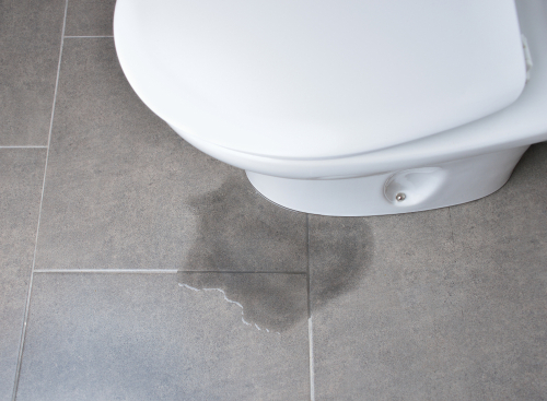toilet leak plumber repair perth