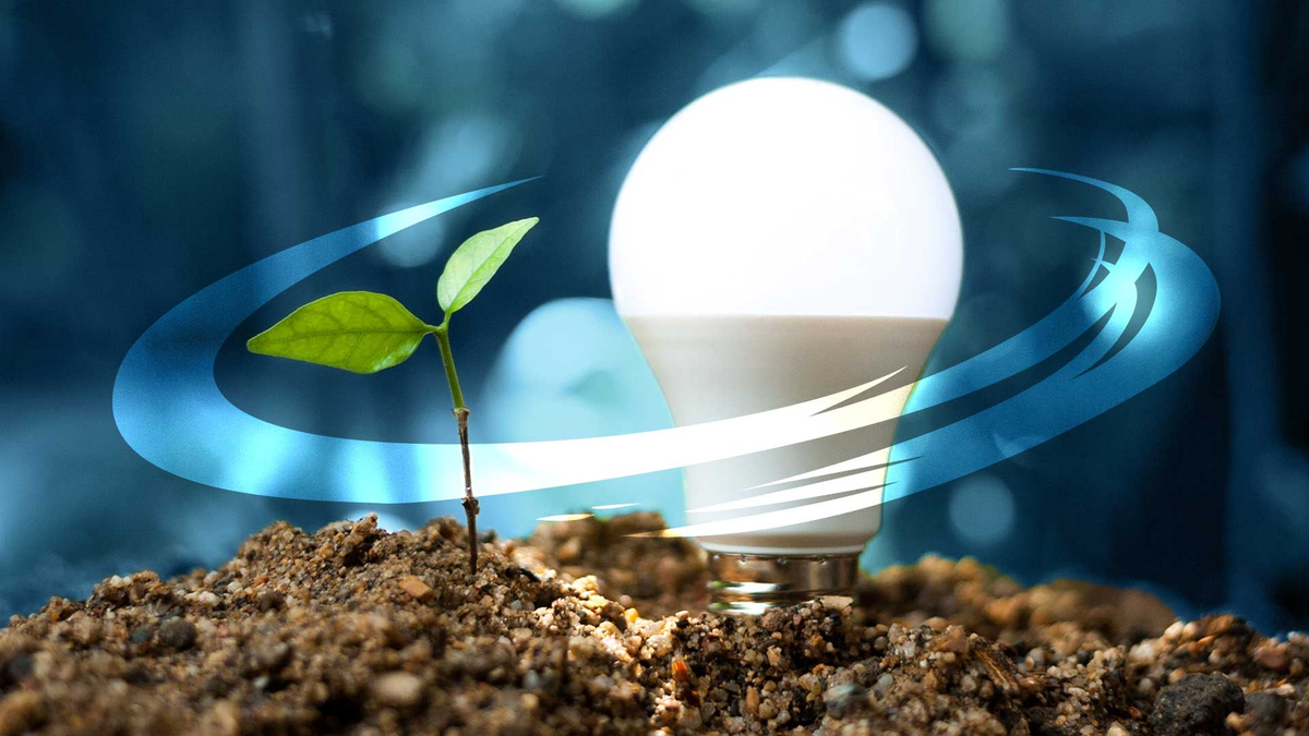 Swish Infragreen Infragreen shares surge on strong FY26 profit guidance | Grafa