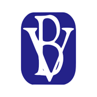 BV Financial  logo