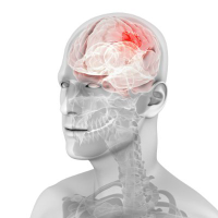 Cns Pharmaceuticals logo