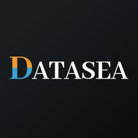 Datasea logo