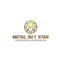 Metal Sky Star Acquisition Ordinary shares logo