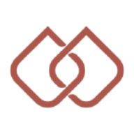 True North Copper  logo