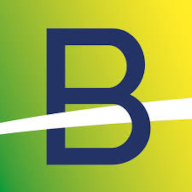 BRZLINRARE FPO logo