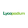 Lycopodium logo