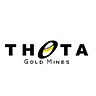 Theta Gold Mines logo