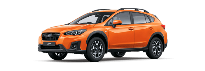 XV