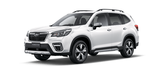 Hybrid S AWD