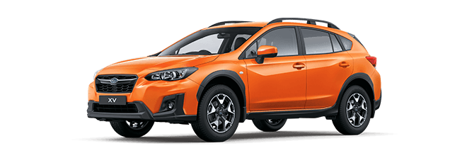 XV