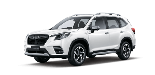 Hybrid S AWD