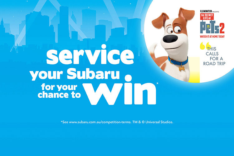 Service and WIN*