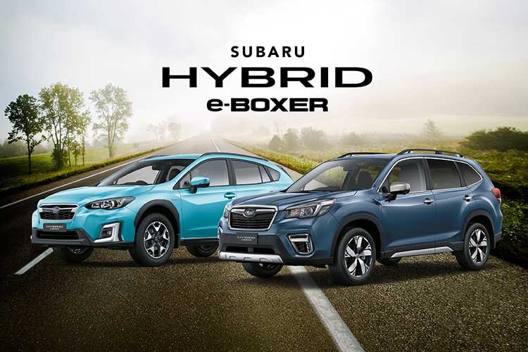 Hybrid power with free servicing