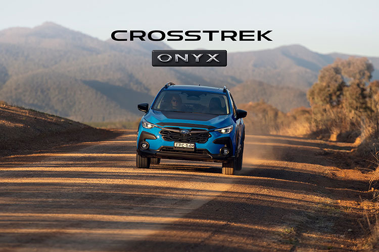 Dark, daring, and ready to roam.