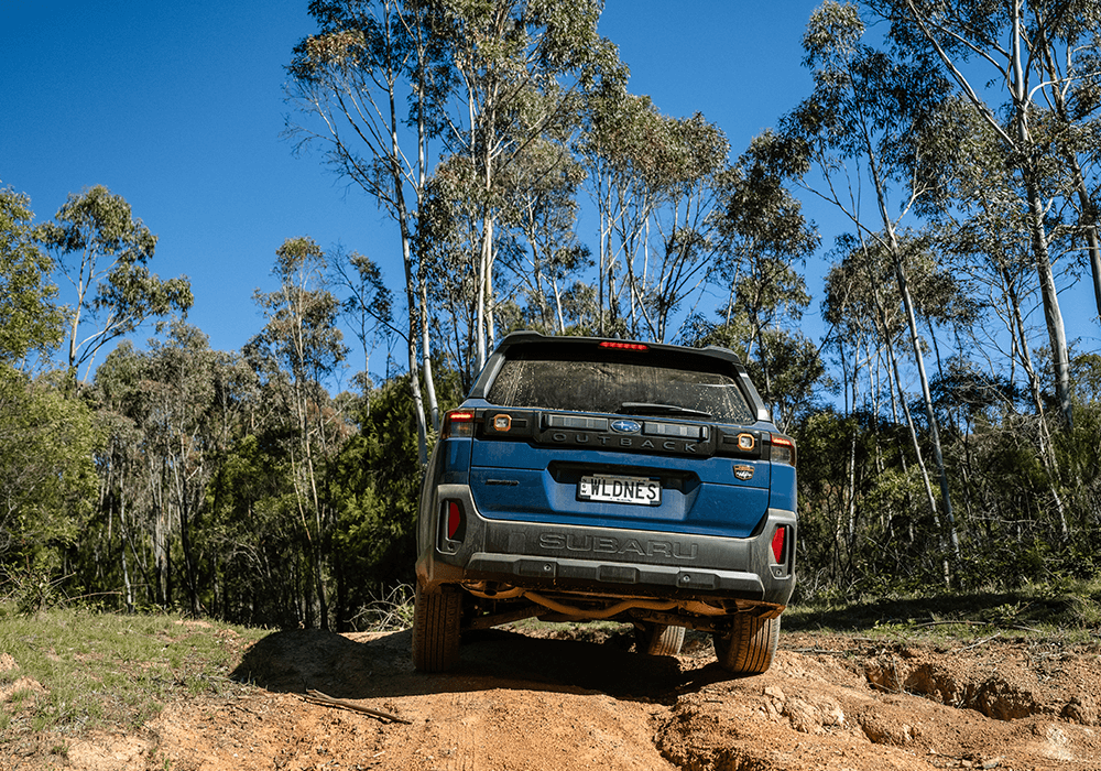 Outback 2026