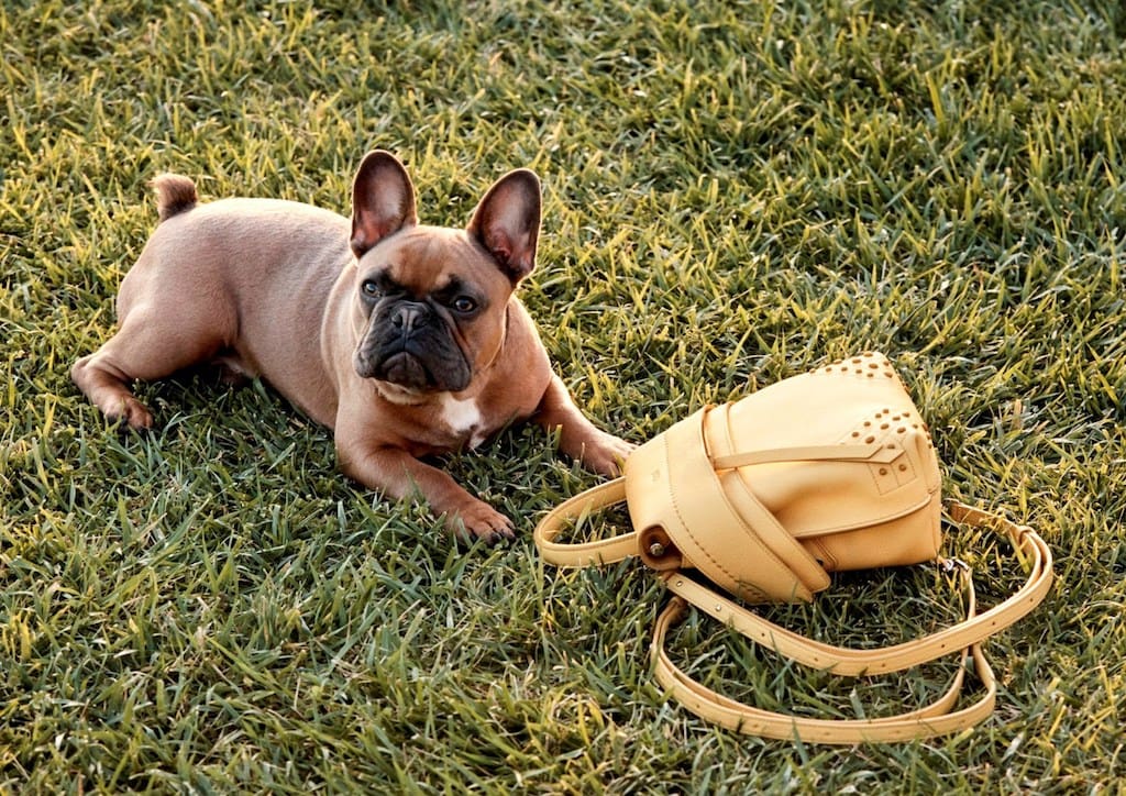 Tod's Spring Summer 2018 Women's Advertising Campaign