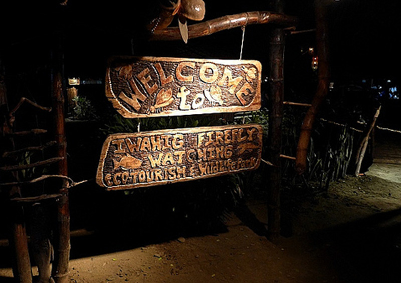 puerto princesa island resort firefly watching