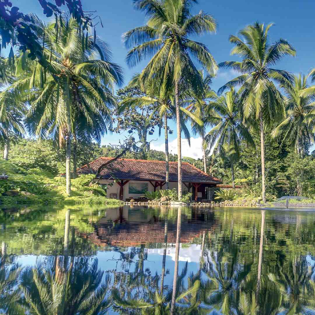 The Farm at San Benito