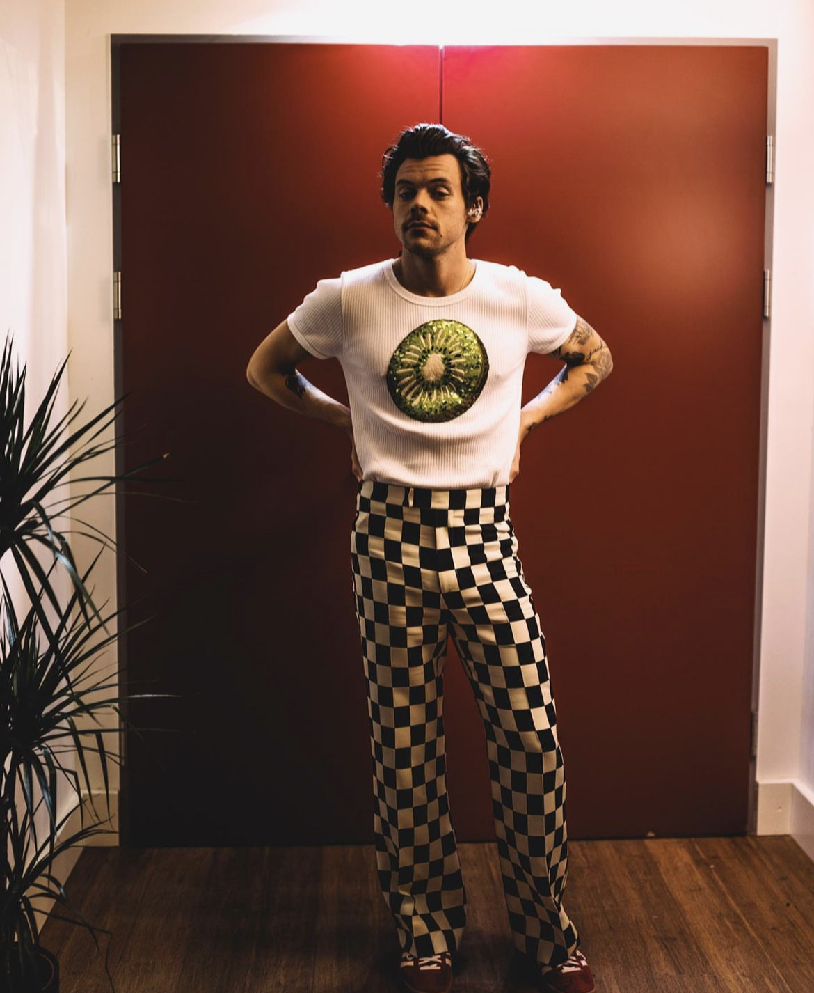 Harry Styles Fashion