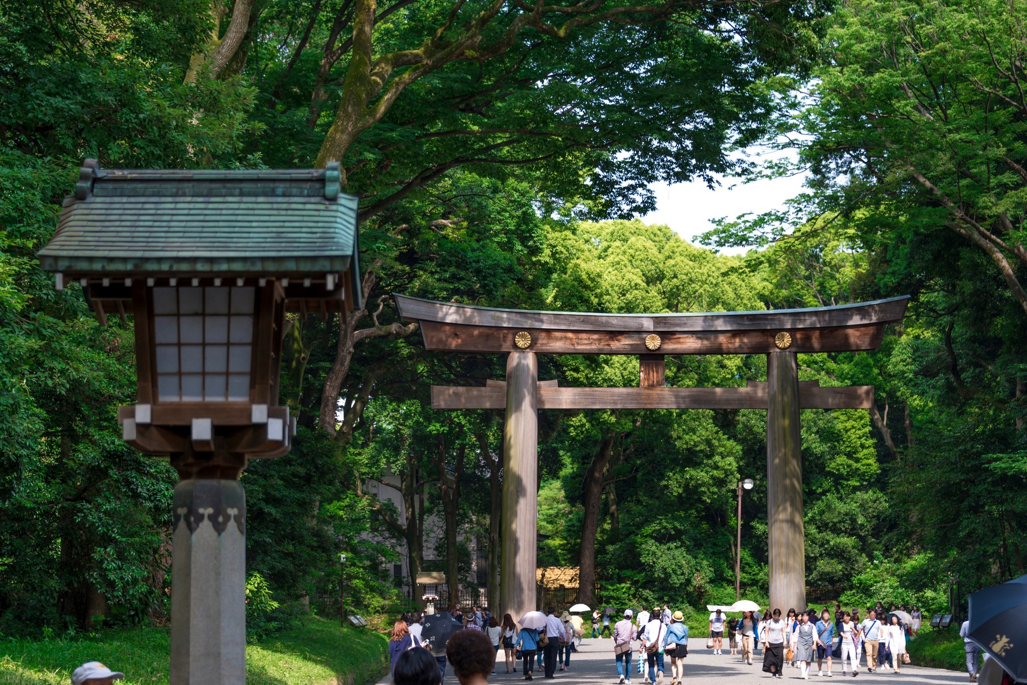 Meiji Shrine in Tokyo, Japan