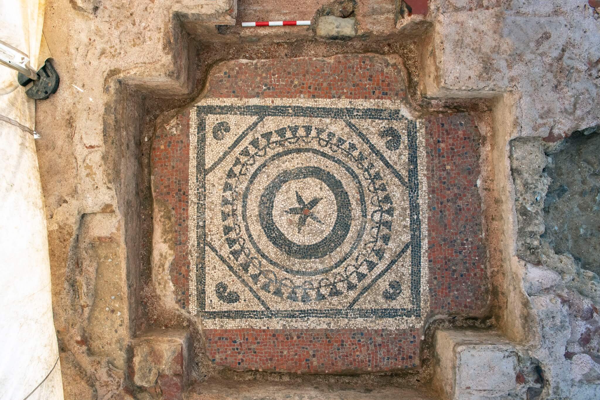 A part of the unearthed mosaic