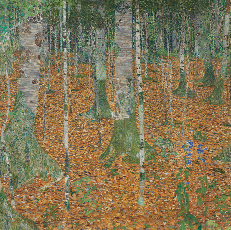 "Birch Forest" (43 ⅜ x 43 ¼ inches, oil on canvas)