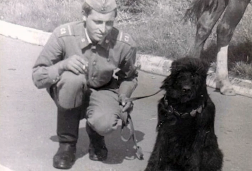 A black Russian terrier of the Red Star Kennels
