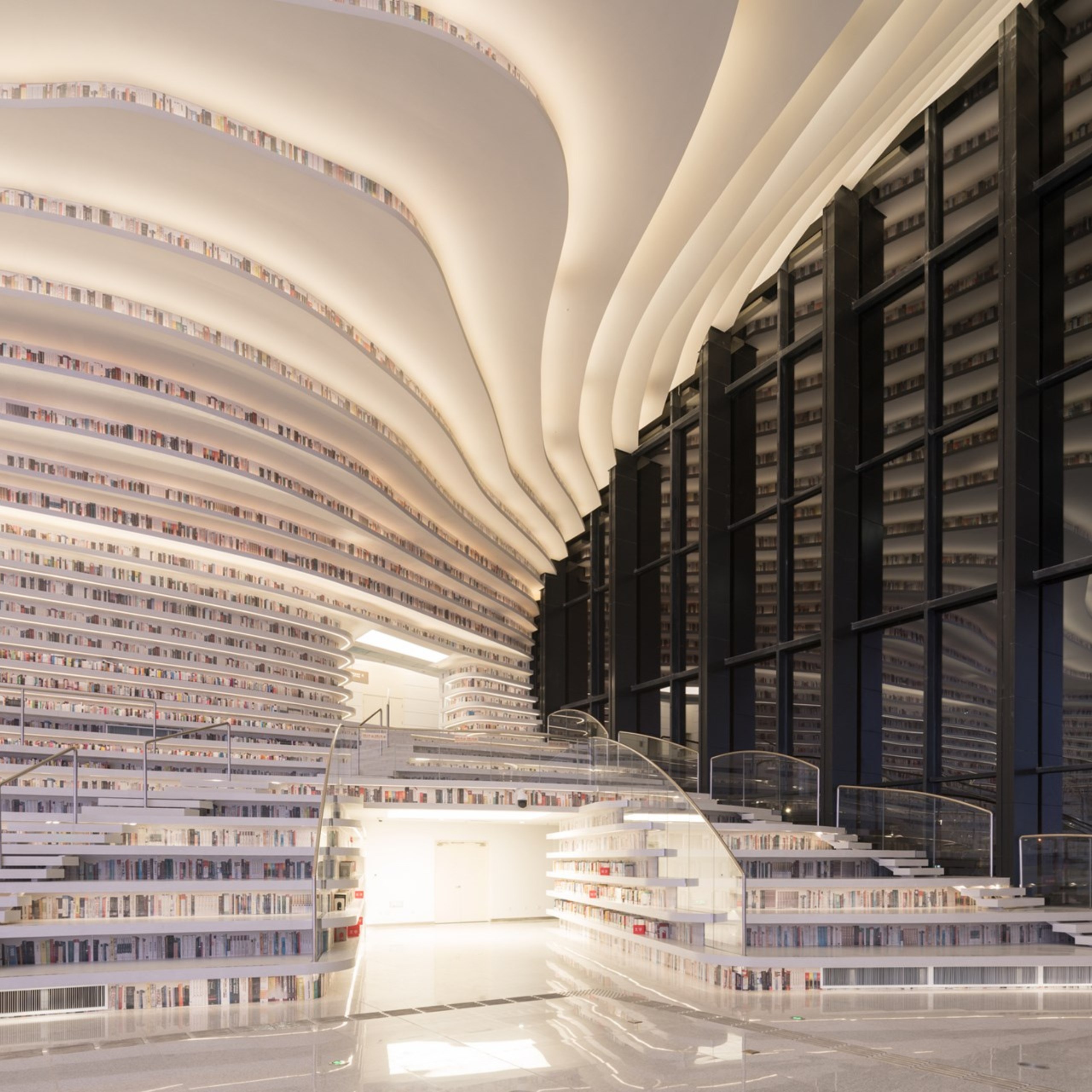 Tianjin Binhai Library