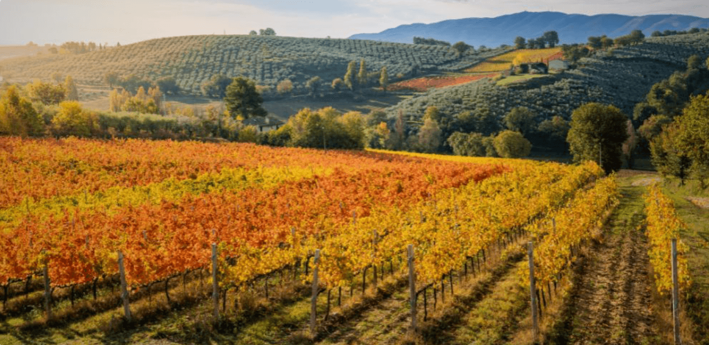 Autumn in the Italian countryside