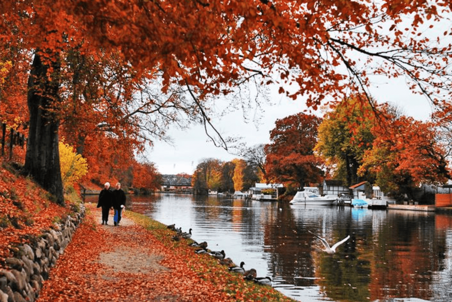 A couple walks by a lake in Denmark in autumn