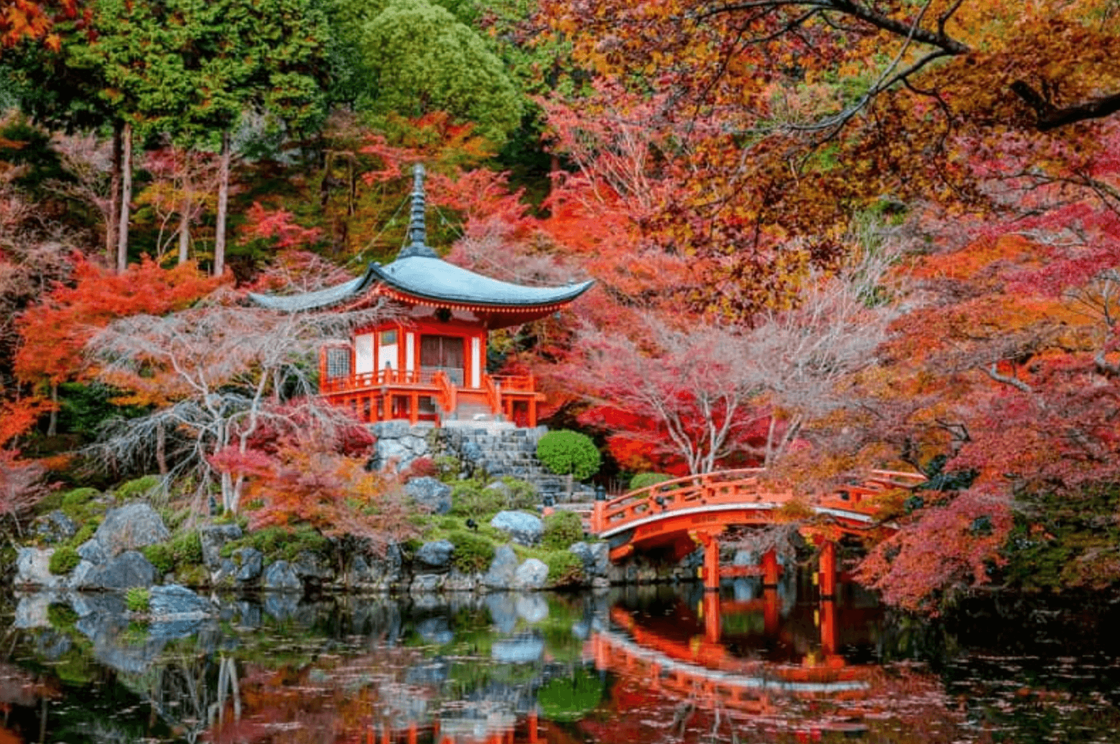 Autumn foliage in a temple in Japan