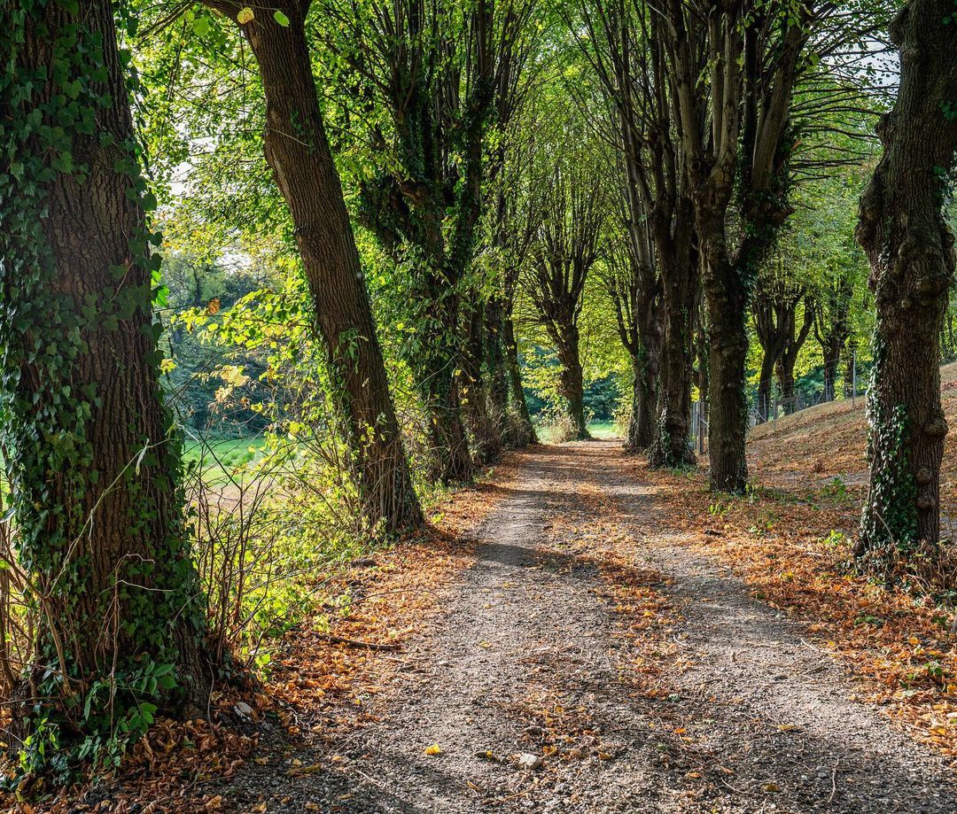 Enjoy nature walks right on the property