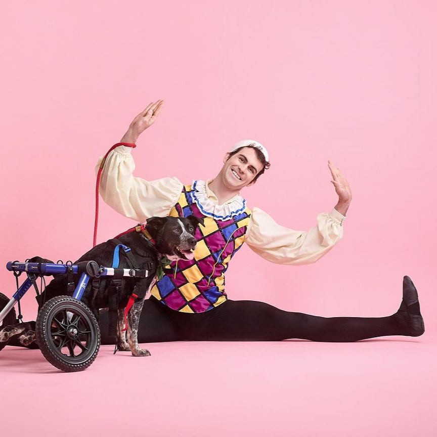 Sean Sessions of Saint Louis Ballet as a Harlequin Doll with shelter dog Owen