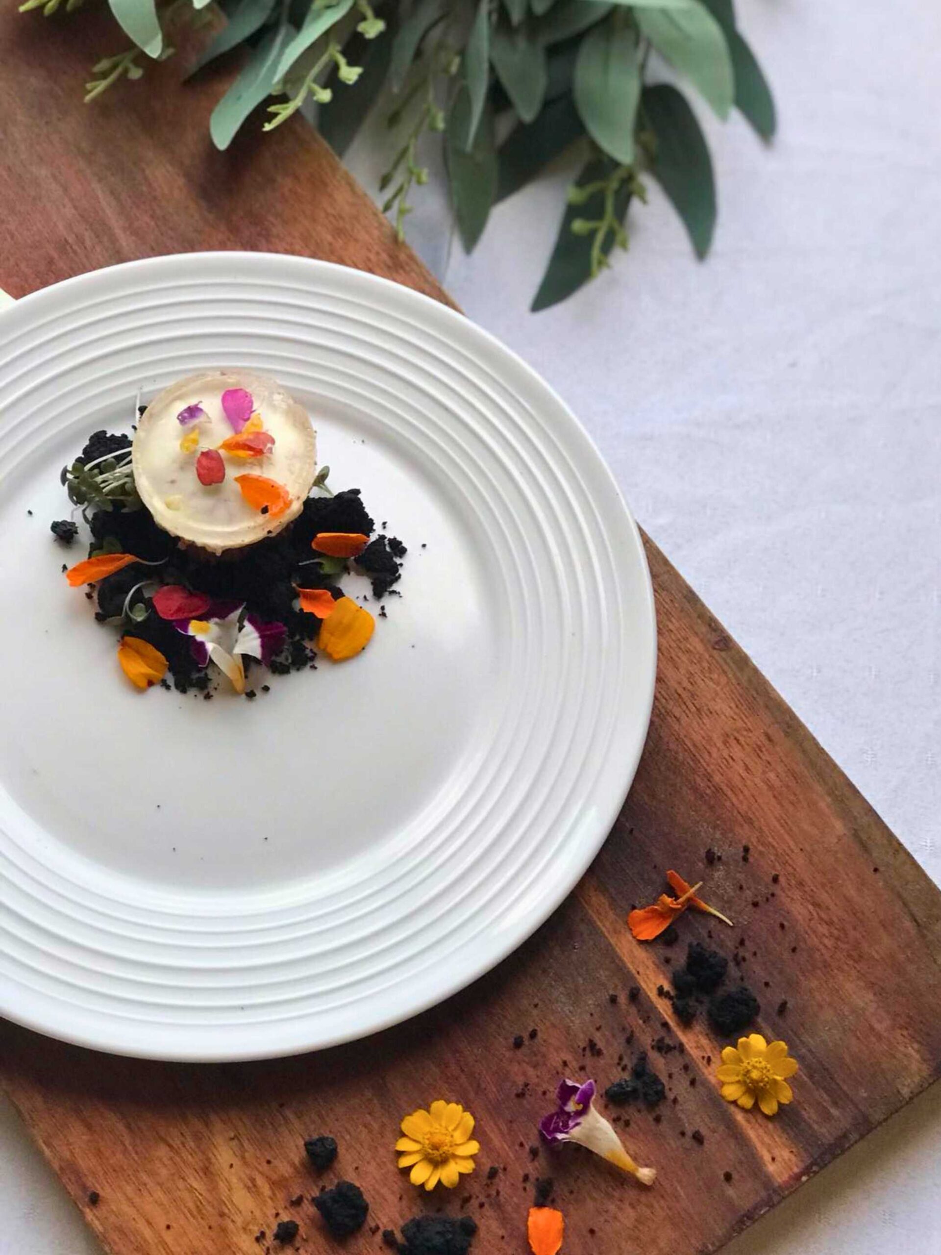 Auro Dark Chocolate Mousse