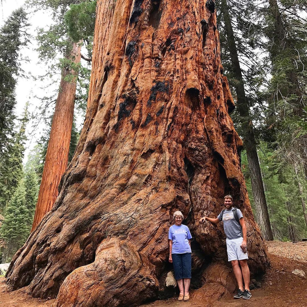 Sequoia National Park, California