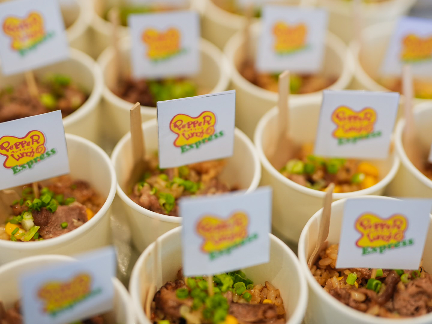 TOP RIGHT: Sushi Nori’s Salmon Overload Bento with Salmon Cream Cheese, Salmon Nigiri, and Salmon Sashimi ; TOP LEFT: Sizzling Plate’s meal; BOTTOM RIGHT: A Pepper Lunch meal; BOTTOM LEFT: Nadai Fujisoba’s savory Udon noodles