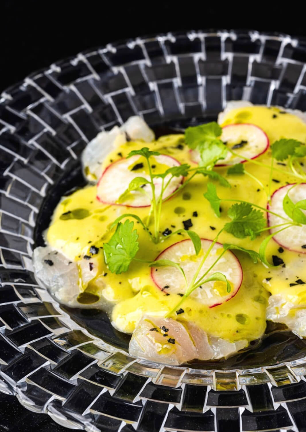 Tiradito de Pargo (Sliced snapper, avocado and lime salsa, radish and cilantro oil)