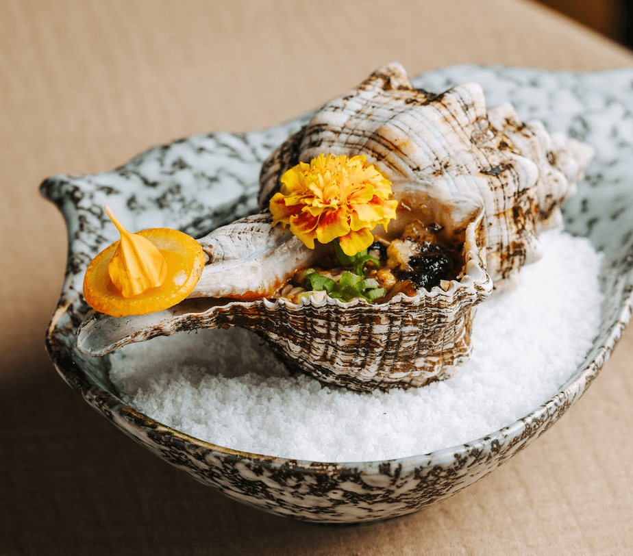 LEFT: Pusik Red Shell; RIGHT: Pluma Iberico