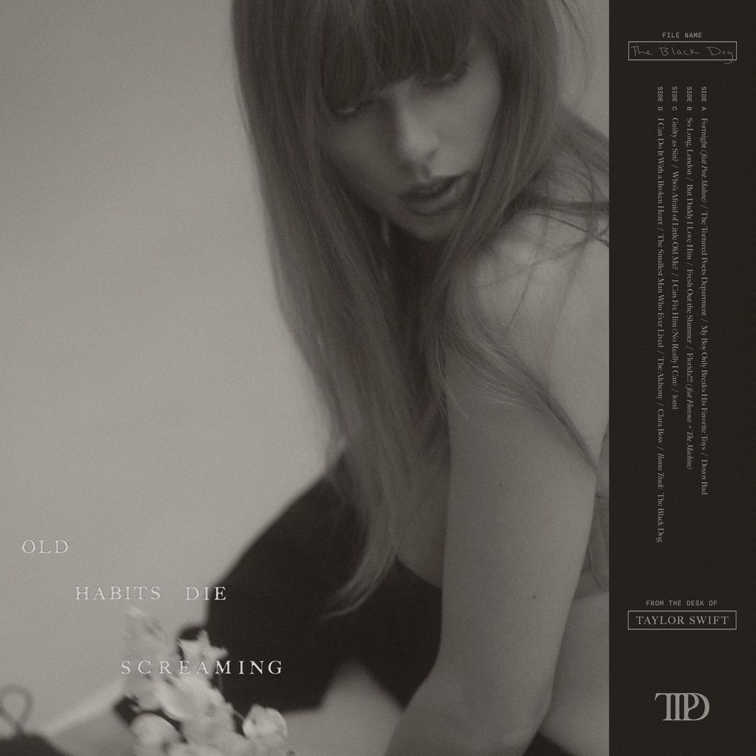 Final variant, The Black Dog