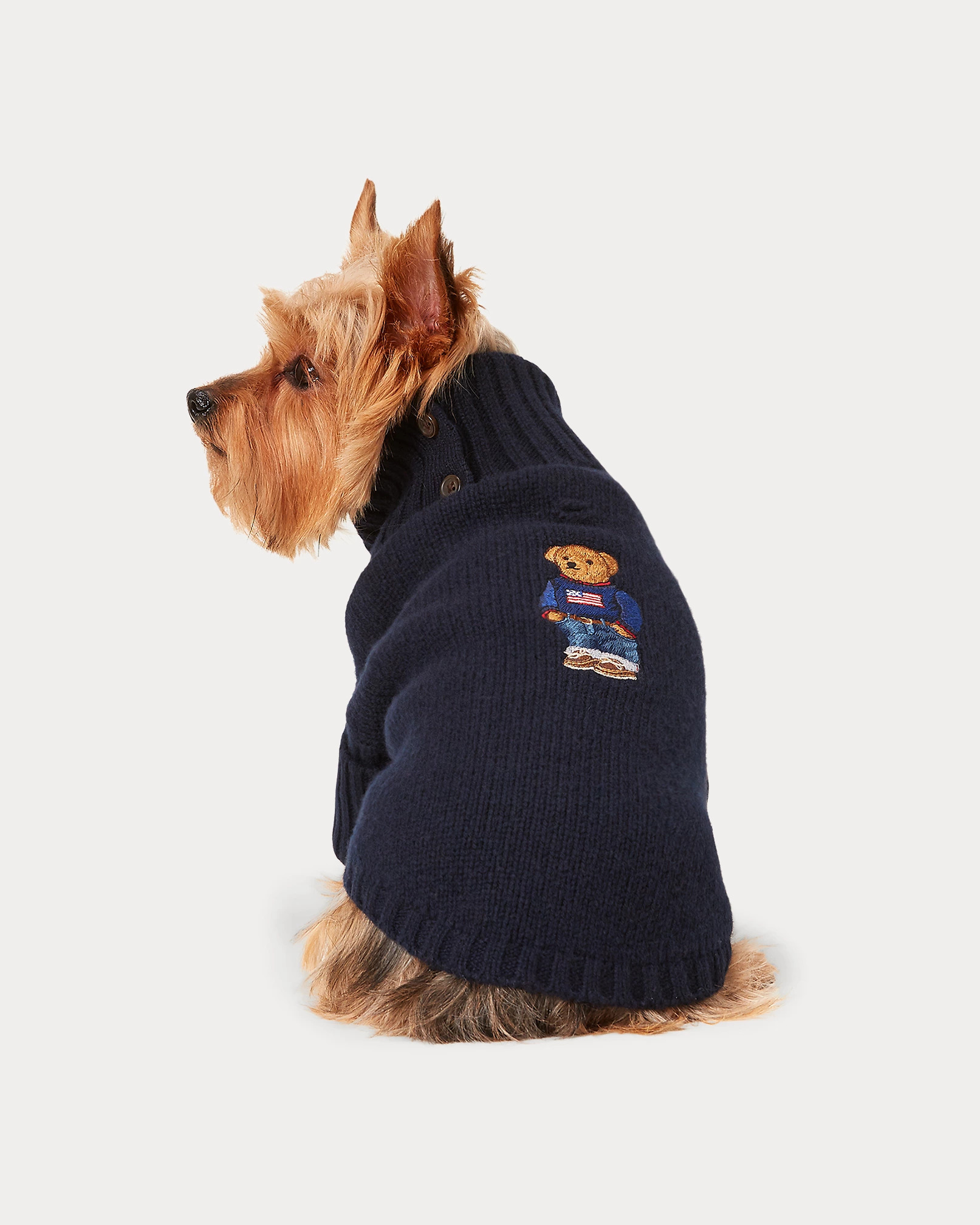 Cable Cashmere Dog Sweater and Bear Wool-Blend Dog Sweater