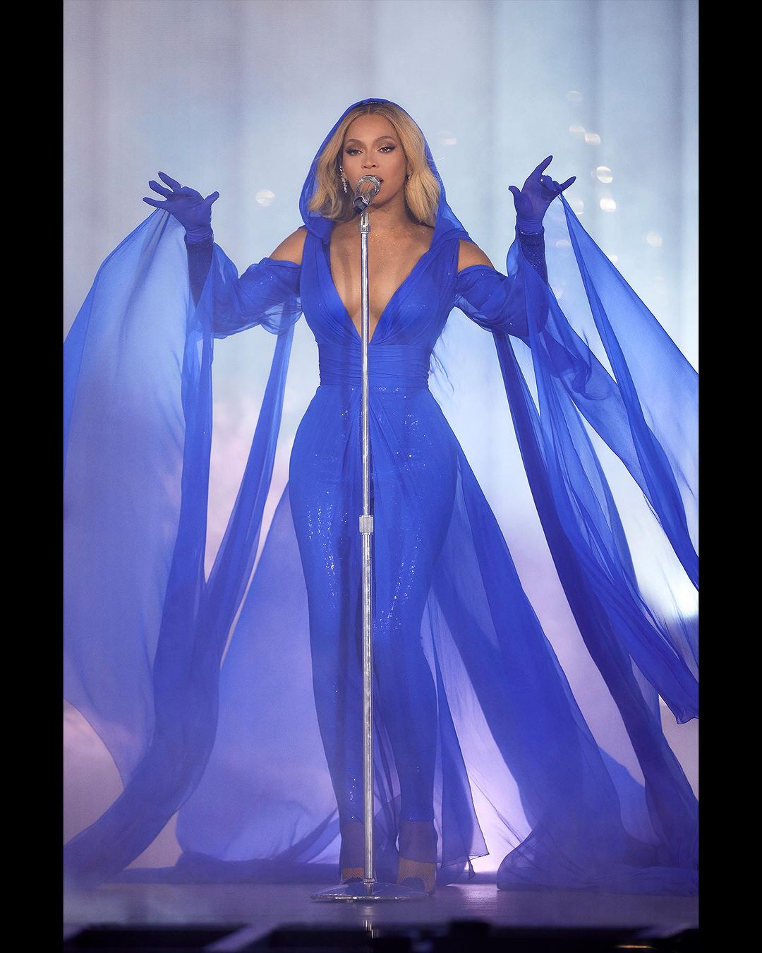 Vera Wang gown with hood and gloves