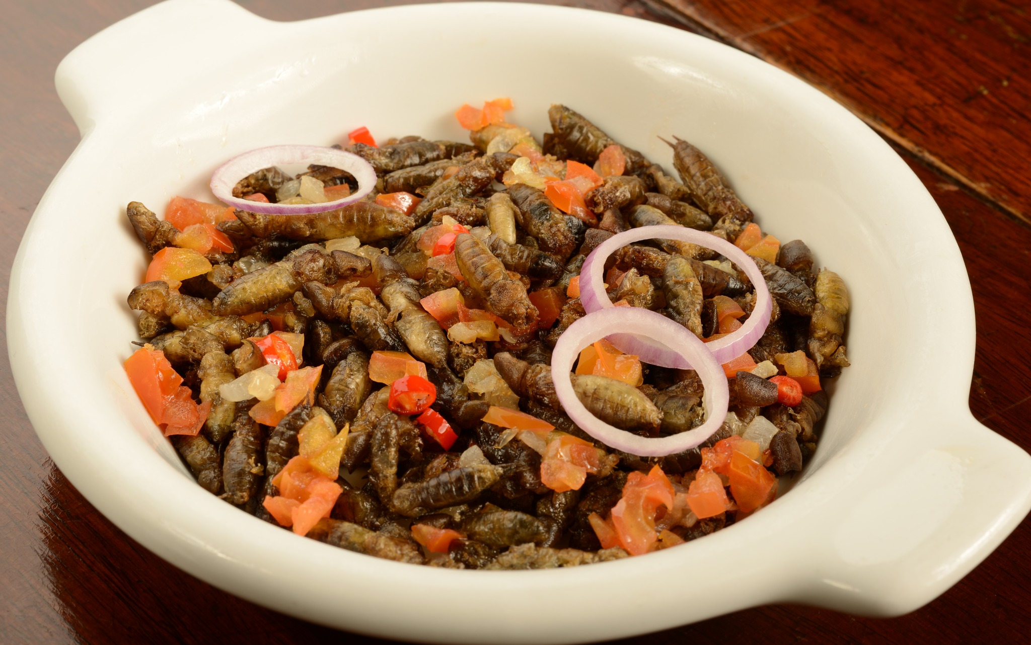 TOP LEFT: Balo Balo. TOP RIGHT: Arobung Kamaru. BOTTOM LEFT: Spicy Sisig Pampanga. BOTTOM RIGHT: Tidtad.  