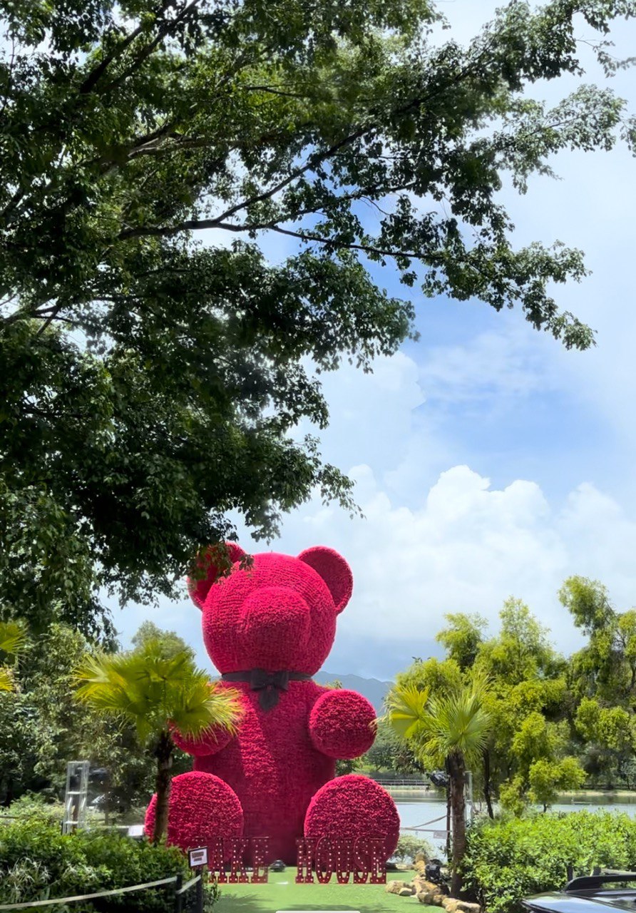 Billow Hong Kong Pink Giant Bear